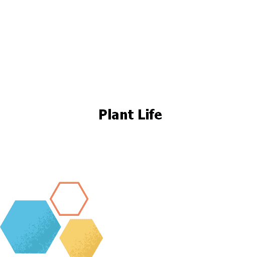 Plant Life